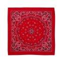 VC21 Valucap RED PAISLEY