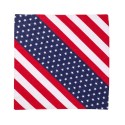 VC21 Valucap USA Flag