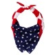 VC21 Valucap USA Flag