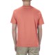 AL1301 American Apparel CORAL