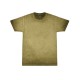 1310 Colortone GREEN