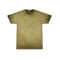 1310 Colortone GREEN