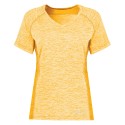 222771 Holloway GOLD HEATHER