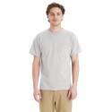 5290P Hanes ASH