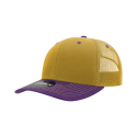 6031 Decky GLD/PUR
