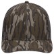 171-1292 OTTO MO11 - Bottomland