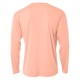 N3165 A4 SALMON