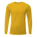 N3425 A4 GOLD