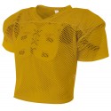 N4190 A4 GOLD