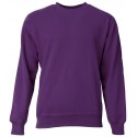 N4051 A4 PURPLE