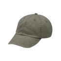 LP101 Adams Headwear CACTUS