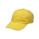 LP101 Adams Headwear OSFM