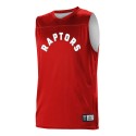 A105LY Alleson Athletic Toronto Raptors