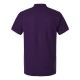 62800 AllPro PURPLE