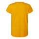 48000L AllPro GOLD