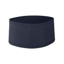 0300 Badger NAVY