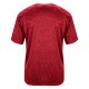 2175 Badger Red Tonal Blend