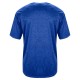 2175 Badger Royal Tonal Blend