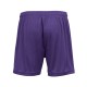 4116 Badger PURPLE