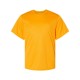 2120 Badger GOLD