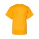 2120 Badger GOLD