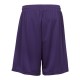 2107 Badger PURPLE