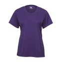 4160 Badger PURPLE
