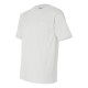 7100 Bayside WHITE