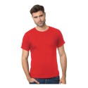 9500 Bayside RED