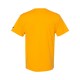 CP10 Champion C GOLD