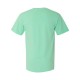 1717 Comfort Colors ISLAND REEF