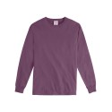 GDH200 ComfortWash by Hanes Purple Plum Raisin