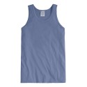GDH300 ComfortWash by Hanes SALTWATER
