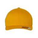 6277 Flexfit GOLD
