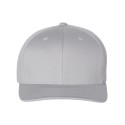 6277 Flexfit SILVER