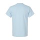 2300 Gildan LIGHT BLUE
