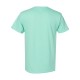 5280 Hanes CLEAN MINT