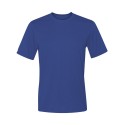 4820 Hanes DEEP ROYAL