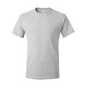 5250 Hanes ASH