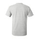 5250 Hanes ASH