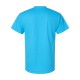 5250 Hanes AQUATIC BLUE