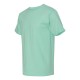 5250 Hanes CLEAN MINT