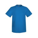 5250 Hanes PALACE BLUE