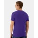 4873 Hanes Athletic Purple