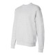 P160 Hanes ASH