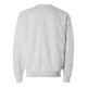 P160 Hanes ASH
