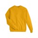 P160 Hanes GOLD