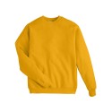 P160 Hanes GOLD