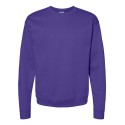 P160 Hanes PURPLE