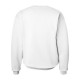 F260 Hanes WHITE